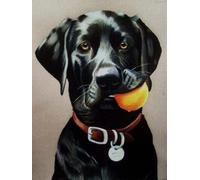 200 Pieces Jigsaw Puzzles For Adults Black Dog Labrador Puzzle For Youth Animal Puzzles Diy Wall Art Family Game Decompress Toys Gift For Dog Lovers 35x25CM