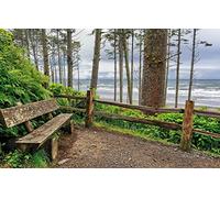 200 Pieces Puzzle Child BoyNatural Beauty,Waves,Ocean,Washington,Benches,Beach 35x25CM