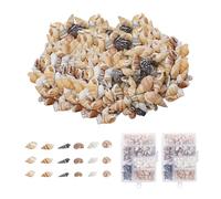 200 Pieces Shell Decoration, Aquarium Decoration Shells, Natural Shell Crafts, Exquisite Shell Decoration, Suitable for Water Tanks, Home Decoration and Crafts