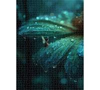 2000 Piece Jigsaw Puzzle, Fairy & Plant Wall Art, Wooden Puzzle, 1T#2521