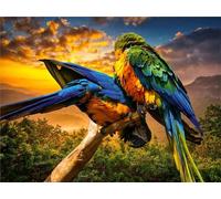 2000 Piece Jigsaw Puzzle for Adults Animal Parrot - Fun Challenges & Brainteasing Adult Jigsaws - Puzzle Games 2000 Piece