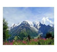 2000 Piece Jigsaw Puzzle for Adults, Natural Scenery, the Alps and Mont Blanc Landscape Jigsaw Puzzle, Educational Game Toy Gift for Teens