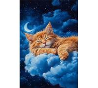 2000 Piece Jigsaw Puzzles for Adults, Challenging Puzzles, Puzzle Game, Starry Night Cat Puzzle 2000 Pieces