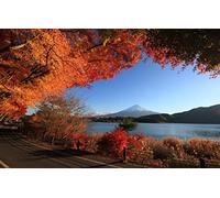 2000 Piece Jigsaw Puzzles for Adults Family Fun Jigsaws Puzzles 2000 Pieces Gifts for Men,Natural Scenery,Roads,Lakes,Mountains 70x100CM