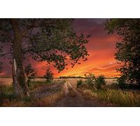 2000 Piece Jigsaw Puzzles for Adults Family Fun Jigsaws Puzzles 2000 Pieces Gifts for MenNatural Scenery,Road,Field,Sunset 70x100CM