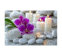 2000 Piece Jigsaw Puzzles for Adults, Flower Jigsaw Puzzles for Adults 2000, Stone Jigsaws Educational Game, Challenging Puzzle Games for The Whole, Wooden Puzzle for Home Decor, Gifts for Women -1941