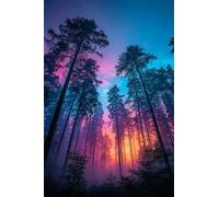 2000 Piece Jigsaw Puzzles for Adults - Jungle Sunset - Decorative Wall Art Gift for Adults & Families - 39.4x27.56 inch - with Poster & Letters on Back