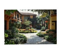 2000 Piece Jigsaw Puzzles for Adults, Plant Jigsaw Puzzles for Adults 2000 Piece, Building Puzzle Challenging Game for the Whole Families, Classic Wooden Jigsaws Suitable for Home Decor, Gifts -3419