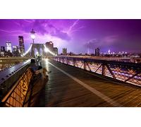 2000 Piece Jigsaw Puzzles for Adults | Puzzle | Jigsaws 2000 Pieces for Adults | Bridges USA 100x70cm