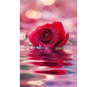 2000 Piece Jigsaw Puzzles for Adults Red Roses, Educational Games, Challenging & Brainteasing for Men Women Elders Seniors, Puzzle 2000 Pieces