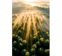 2000 Piece Jigsaw Puzzles for Adults - Sunrise Jungle - Decorative Wall Art Gift for Adults & Families - 39.4x27.56 inch - with Poster & Letters on Back