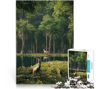 2000 Piece Jigsaw Puzzles for teenagers Discovery Analysis and logic 70x100cm with Matching Poster and Trivia Sheet for Age 14