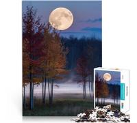 2000 Piece Jigsaws for Adults Full Moon Over Foggy Field Made of cardboard,for and from 14 years and over Home Art Decor gifts for friends and family。size:70x100cm/27.5x39.3inch