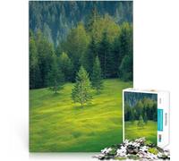 2000 Piece Jigsaws for Adults Puzzle Highlands Analysis and logic 70x100cm Unique Home Decor and Gifts Suitable for and 14