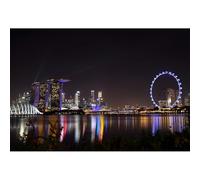 2000-Piece Puzzle, Gardens by the Bay Singapore Puzzle, Game Artwork and Tourist Souvenir