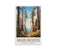 2000 pieces jigsaw puzzle Muir Woods National Monument Jigsaw Puzzles for Adults and Kids 2000 Piece Educational Games Colorful Puzzles for Home Decoration 70x100cm