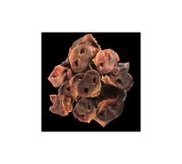 (2000g (2kg)) Pig Snouts 100% Naturally Air Dried Dog Treat Chew (Choose your Size)