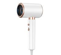 2000W Hair Dryer, Super Compact & Lightweight, Fast Dry, 3 Heat & 2 Speed Settings Plus Cool Shot, White