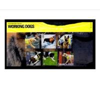 2008 WORKING RESCUE DOGS OF YESTERDAY PRESENTATION PACK Royal Mail Mint British Collector Stamps in Presentation Pack * MNH * No. of Stamps: 6 *** Guaranteed Brand New, Well-Packaged, Gift-Wrapped Free