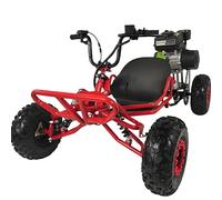 200cc 4-Stroke Gas Go Kart for Adults & Kids - 45MPH CVT Transmission, 6'' Off-Road Tires, Hydraulic Disc Brakes, 50+ Miles Range (Red)