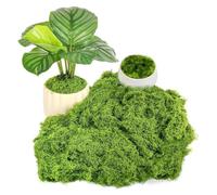 200g Artificial Moss, Real Fake Moss, Faux Moss For Indoor Plant Pots, Light Green Faux Moss Decorative Moss for Crafts Arts Landscaping Decorations Floral Mosses Home Garden Decoration
