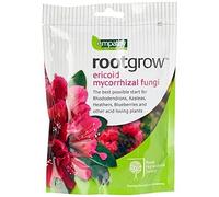 200g Ericoid Mycorrhizal Fungi, Mycorrhizal Fungi, Increase Nutrient And Water Uptake By Forming A Highly Efficient Secondary Root System