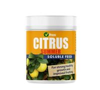 200g Vitax Summer Citrus Feed - Balanced Plant Food for Citrus Trees & Fruit Plants - Promotes Healthy Growth & Improved Fruit Yield