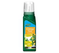 200ml Citrus Feed Flower Plant Food Fertiliser for Optimum Growth for Flowers, Shrubs, Fruits and Vegetables