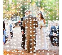 200pcs 10Strings White Origami Paper Crane Garlands for Spring Rustic Wedding Party Decorations Bridal Shower Origami Birds Streamers for Baby Shower/Engagement/Valentine's Day/Birthday Party
