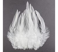 200pcs 4-6 Inches Saddle Hackle White Rooster Feather for Crafts Natural Pheasant Neck Feathers DIY Pendant Earrings Dream Catcher