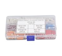 200PCS European Automotive Fuse 5 Type Torpedo