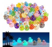 200Pcs Glow in Dark Mini Ducks Set 16 Colors Tiny Ducks 200 Pack Mini Resin Ducks Little Ducks Resin Animals Mini Plastic Ducks for Fairy Gardens Aquariums Dollhouse Decor DIY Crafts Party Favors