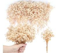 200PCS Mini Dried Baby's Breath Flowers 8000+Pressed Real Natural Gypsophila Bulk Natural Ivory White Dried Flowers for Hair Accessory Wedding Wreath Card Making Table Vase Gift Home Decor