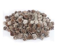 200PCS Mini Snow Pine Cones Christmas Natural Pinecones with White Paint Pine Cones in Bulk for Home Party Crafts Gift Wedding Christmas Tree Winter Decoration