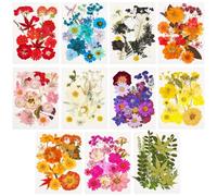 200Pcs Real Natural Dried Pressed Flowers and Leaves Set Multi-colored Vacuum Sealed Pressed Floral Kit for Epoxy Resin Art, DIY Jewelry Making, Soap, Nail, Card Scrapbooking, Craft Supplies