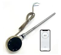 (200w, Brushed Brass) Wifi Electric Smart Heating Element for Towel Rails and Radiators 200w/300w/400w/600w/800w with LED touchscreen Thermostat/Timer Energy Efficient