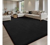 200x300 Area Rugs for Living Room, Soft Large Area Rug Fluffy Rugs for Bedroom，Machine Washable Area Rug Non Slip Carpet for Living Room Playroom Kids Room Home Decor(AA)