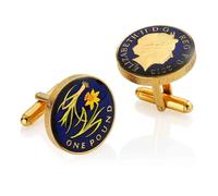 2013 One Pound - Welsh Emblem Design - Enamelled Coin Cufflinks