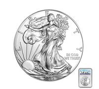 2013 Walking Liberty Half Dollar Private Mint Currency Design 1 oz .999 Pure Copper Round/Challenge Coin