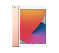 2020 Apple iPad (10.2-inch, Wi-Fi, 32GB) Gold (Renewed)