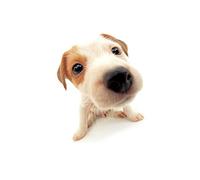 2021 Upgraded Anti Snoring Chin Strap, Comfortable Natural Snoring Solution Snore Stopper,Most Effective Anti Snoring Devices Stop Snoring Sleep Aid Snore Reducing Aids for Women and Men