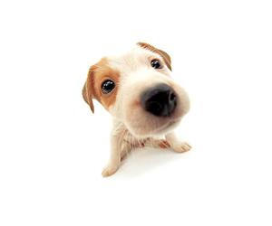 2021 Upgraded Anti Snoring Chin Strap, Comfortable Natural Snoring Solution Snore Stopper,Most Effective Anti Snoring Devices Stop Snoring Sleep Aid Snore Reducing Aids for Women and Men