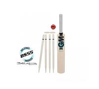 2022 GM Diamond Cricket Set - Great For The Garden (Size 5)