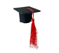 2023 Fashion Graduation Cap Hair Clip - Stylish Design, Easy to Use & Secure Grip for Graduation Ceremonies, Proms, Parties | Durable Hairpin Accessory for Students, Grads