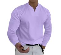 2023 Spring Men's T-Shirts Long Sleeve V Neck Plain T Shirt Loose Fit Casual Blouses Full Sleeves Jersey Tops Shirts (Purple, XL)