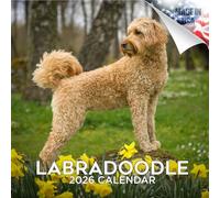 2024 2025 Labradoodle Calendar - Dog Breed Monthly Wall Calendar - 12 x 24 Open - Thick No-Bleed Paper - Giftable - Academic Teacher's Planner Calendar Organizing & Planning - Made in USA