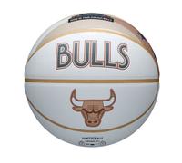 2024-2025 NBA Team City Collector Basketball