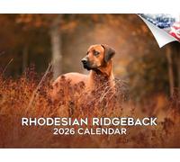 2024 2025 Rhodesian Ridgeback Calendar - Dog Breed Monthly Wall Calendar - 12 x 18 Open - Thick No-Bleed Paper - Giftable - Academic Teacher's Planner Calendar Organizing & Planning