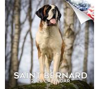 2024 2025 Saint Bernard Calendar - Dog Breed Monthly Wall Calendar - 12 x 24 Open - Thick No-Bleed Paper - Giftable - Academic Teacher's Planner Calendar Organizing & Planning - Made in USA