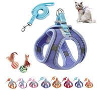 2024 Upgraded Pawfectly Safe Cat Harness & Leash Set - Escape-Proof, Adjustable, Reflective for Small Cats & Dogs, Breathable Step-in Design (A5, L)